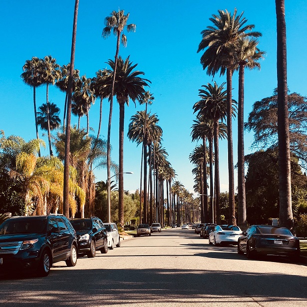 Beverly Hills estate sale
